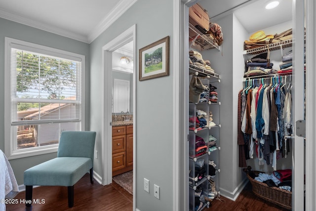 spacious closet with dark wood-type flooring