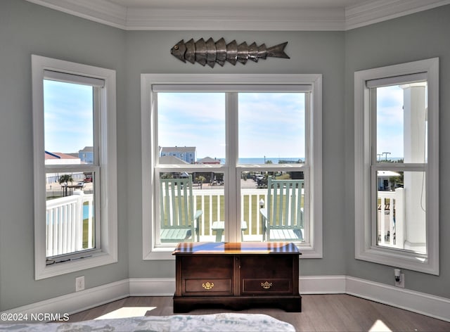 interior space with plenty of natural light, baseboards, and wood finished floors
