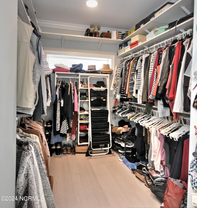 walk in closet with wood finished floors