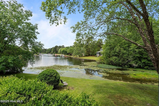 water view featuring a forest