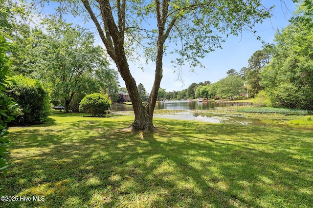 view of grassy yard featuring a water view