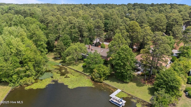 aerial view of property's location with a forest and a large body of water