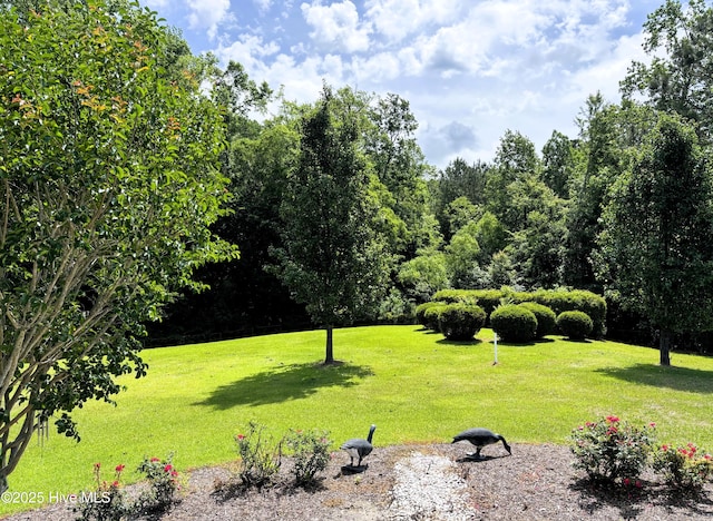 view of home's community featuring a lawn