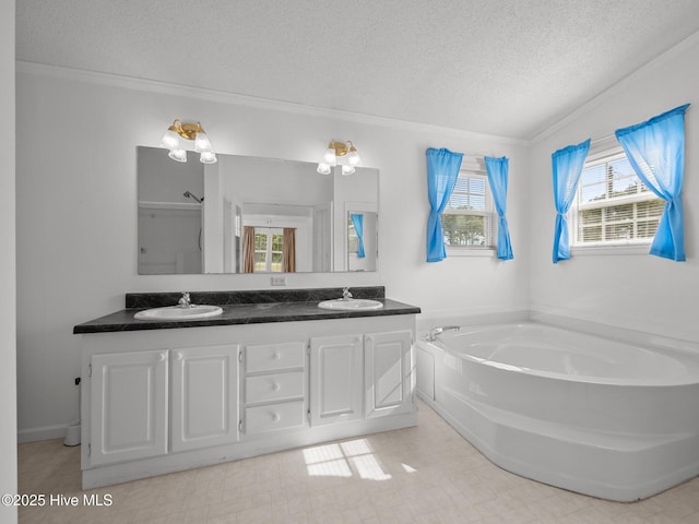 305 Cottontail Run, Newport, NC 28570 - bathroom featuring a textured ceiling, a healthy amount of sunlight, and a sink