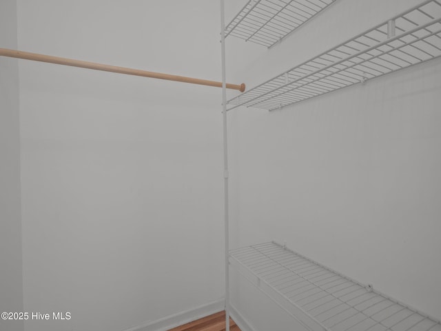305 Cottontail Run, Newport, NC 28570 - view of spacious closet