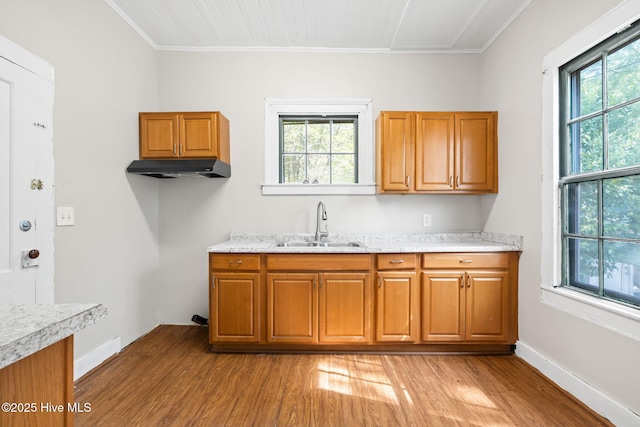 kitchen featuring light wood-style floors, plenty of natural light, under cabinet range hood, brown cabinets, and a sink