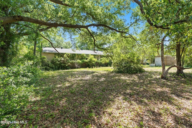 view of yard