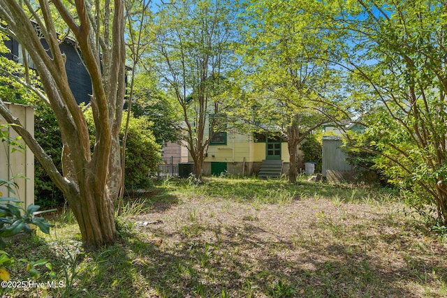 view of yard featuring entry steps