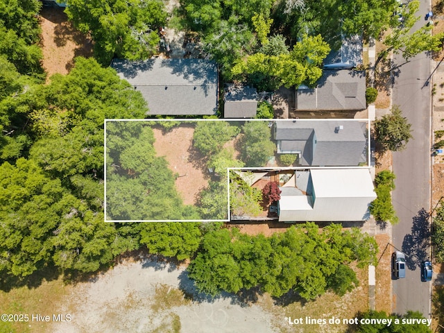 drone / aerial view