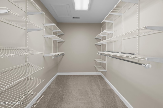 308 E Ashe St, Burgaw, NC 28425 - spacious closet featuring carpet flooring and visible vents