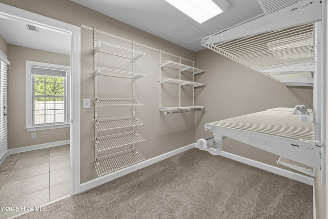 308 E Ashe St, Burgaw, NC 28425 - spacious closet with carpet and visible vents