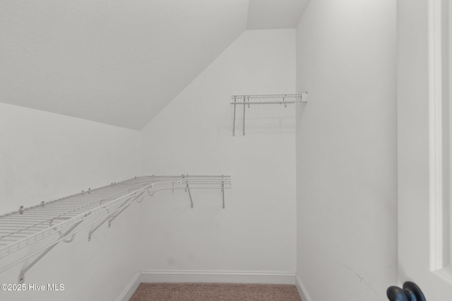 2202 Sweet Bay Dr Unit B, Greenville, NC 27834 - spacious closet with vaulted ceiling and carpet floors