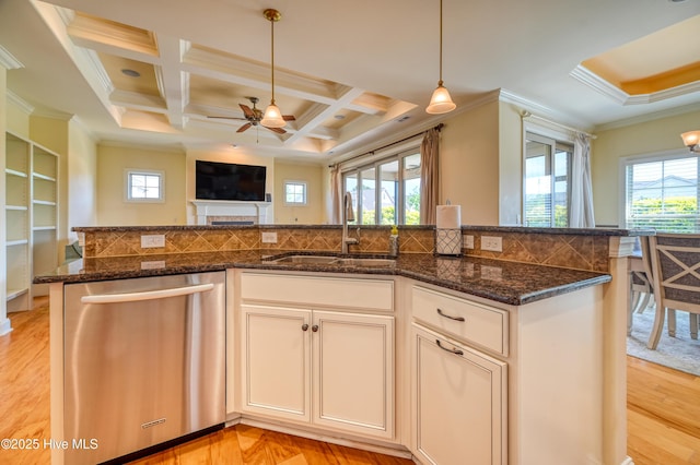 kitchen with stainless steel dishwasher, ceiling fan, plenty of natural light, and a sink