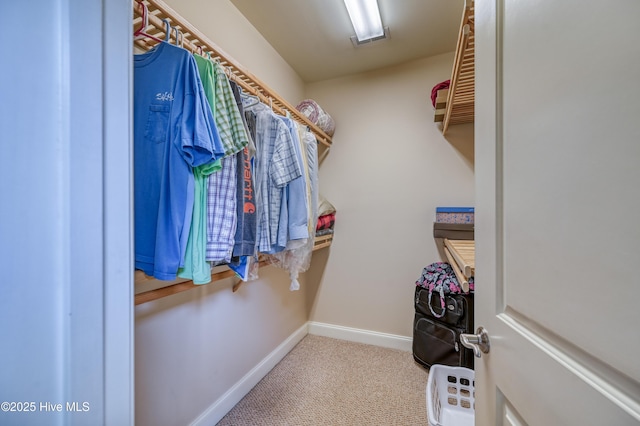 spacious closet featuring carpet flooring