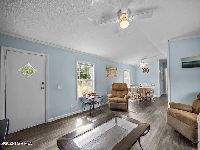 336 Old Folkstone Rd, Holly Ridge, NC 28445 - living room featuring a ceiling fan, a textured ceiling, wood finished floors, and ornamental molding