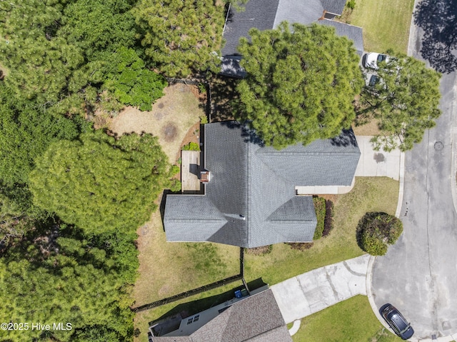 bird's eye view