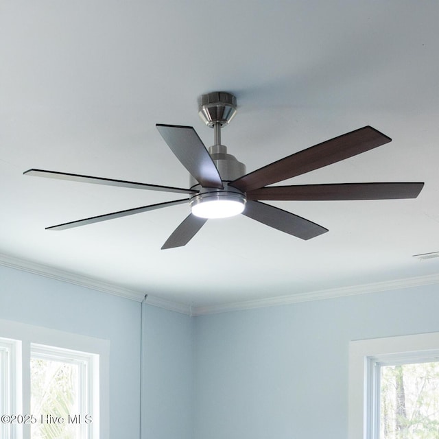 room details featuring crown molding and ceiling fan