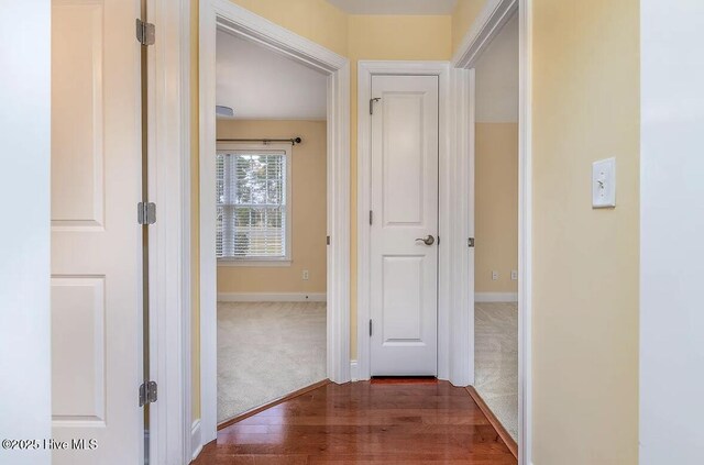 corridor featuring baseboards, dark colored carpet, and dark wood-type flooring