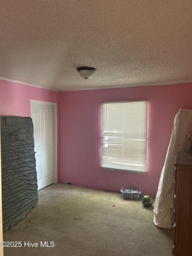 unfurnished bedroom with carpet floors and a textured ceiling