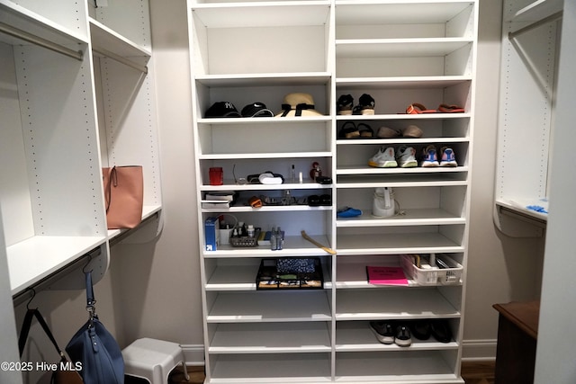 spacious closet featuring wood finished floors
