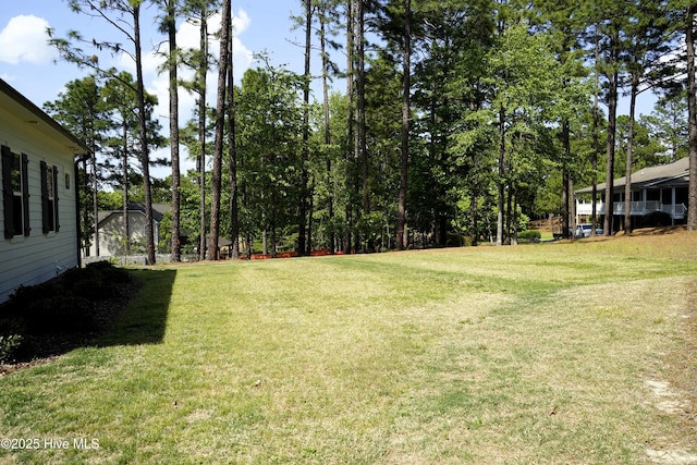 view of yard