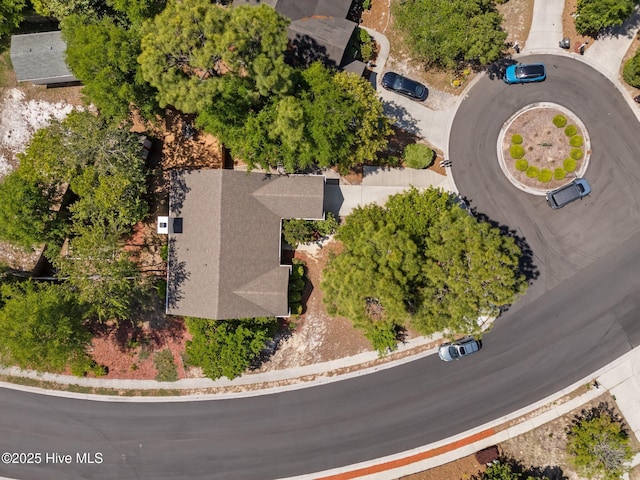 bird's eye view