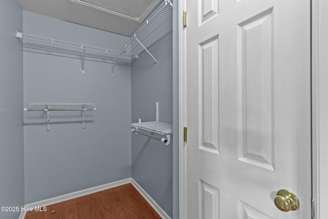 spacious closet with dark wood-style floors