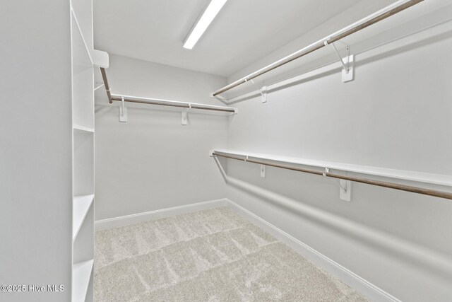 231 Dona Dr, Carthage, NC 28327 - spacious closet featuring carpet flooring