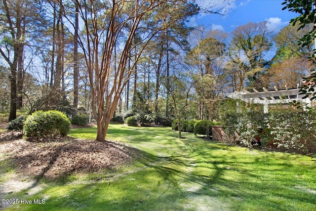 view of yard