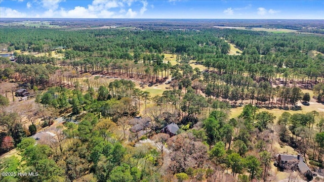bird's eye view with a forest view
