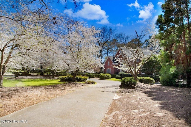 exterior space with driveway