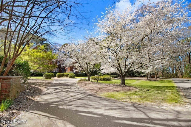 view of street with aphalt driveway