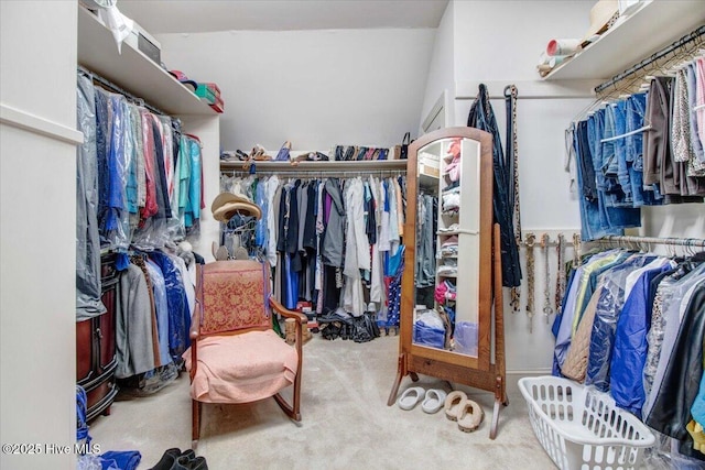 spacious closet featuring carpet flooring