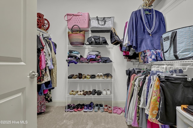 8130 Porters Crossing Way, Wilmington, NC 28411 - walk in closet with carpet flooring