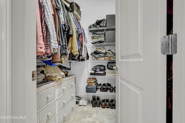 8130 Porters Crossing Way, Wilmington, NC 28411 - view of spacious closet