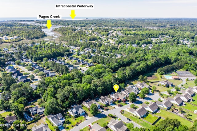 8130 Porters Crossing Way, Wilmington, NC 28411 - drone / aerial view of a forest