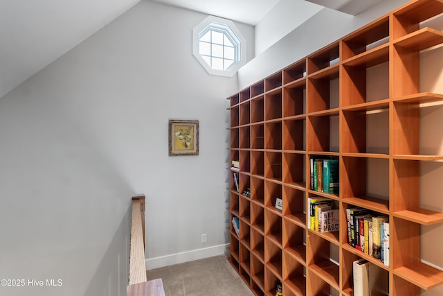wine room with carpet