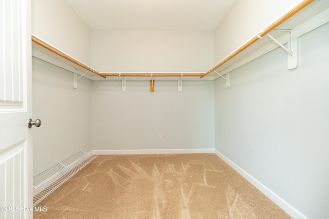 walk in closet with light carpet