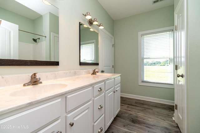 bathroom featuring a sink, double vanity, and a wealth of natural light