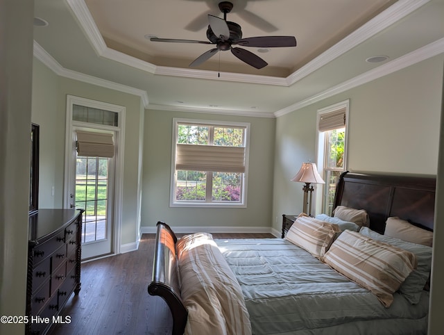 bedroom with a tray ceiling, multiple windows, and access to exterior