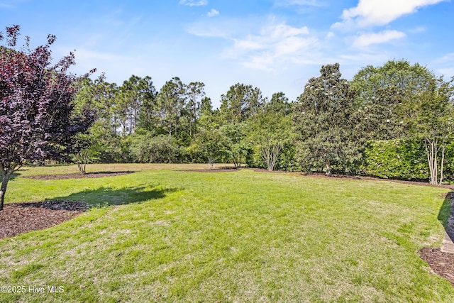 6618 Motts Village Rd, Wilmington, NC 28412 - view of yard