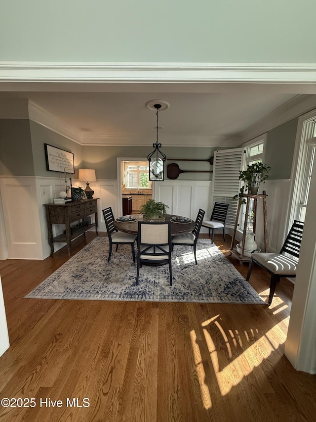 dining area with a wainscoted wall, ornamental molding, wood finished floors, and a decorative wall