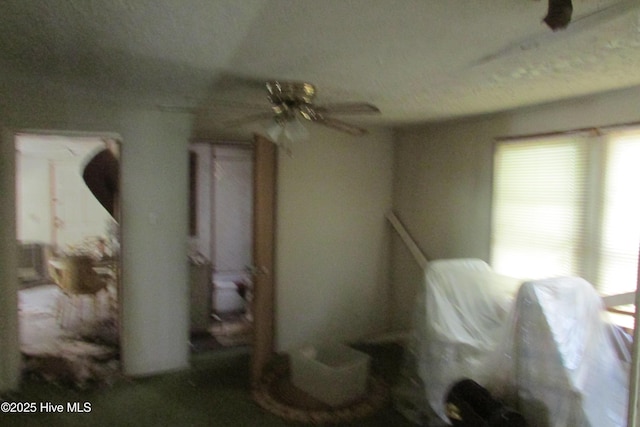 interior space with a healthy amount of sunlight