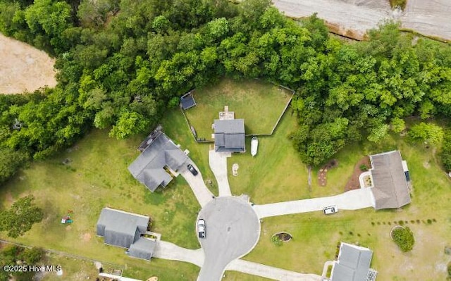 bird's eye view