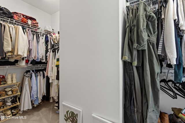 spacious closet with carpet floors