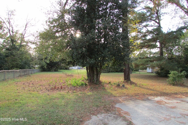 803 Mccoy St, Clinton, NC 28328 - view of yard with fence
