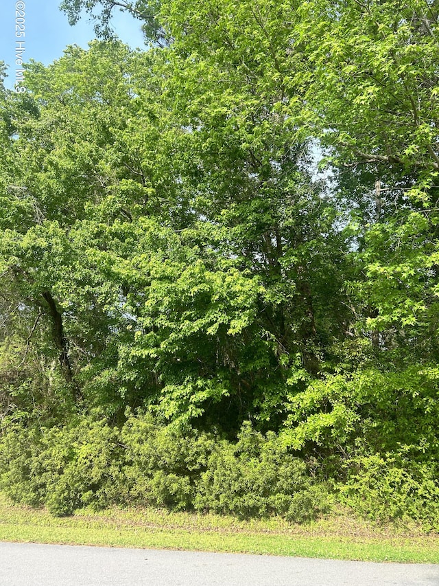 160 Barrington Rdg Unit 4, Bogue, NC 28570