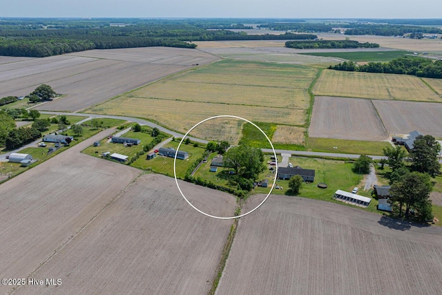 465 Meadstown Rd, Elizabeth City, NC 27909 - birds eye view of property with a rural view