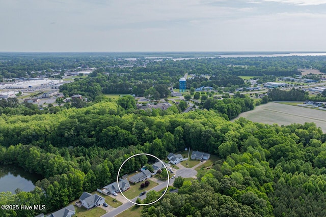 146 Ranch Dr, Elizabeth City, NC 27909 - bird's eye view with a wooded view