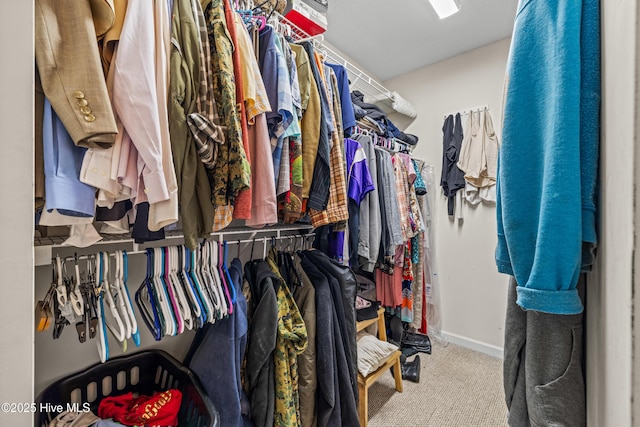 walk in closet featuring carpet floors